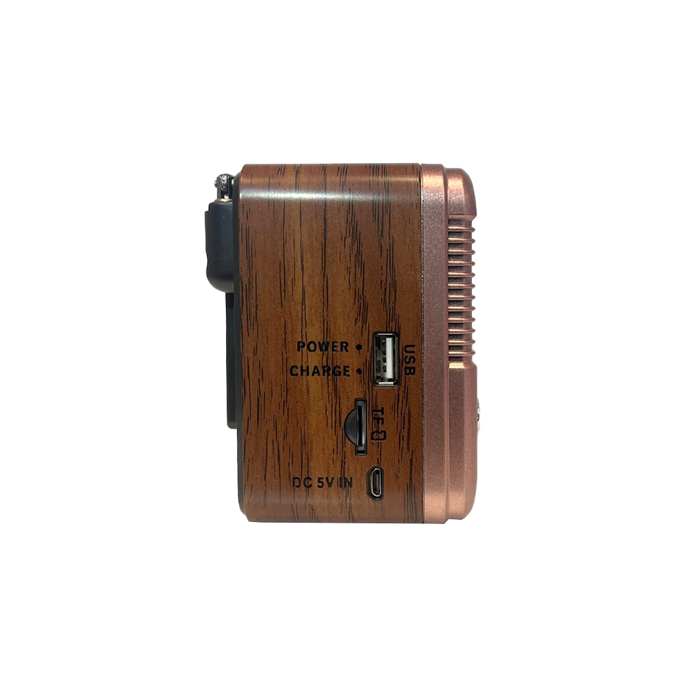 رادیو بلوتوثی گولون مدل RX-BT6060S