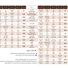 رنگ مو اسکالیم شماره 2 حجم 100 میلی لیتر رنگ قهوه ای سوخته