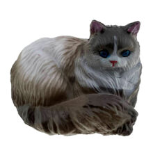 فیگور مدل گربه رگدال