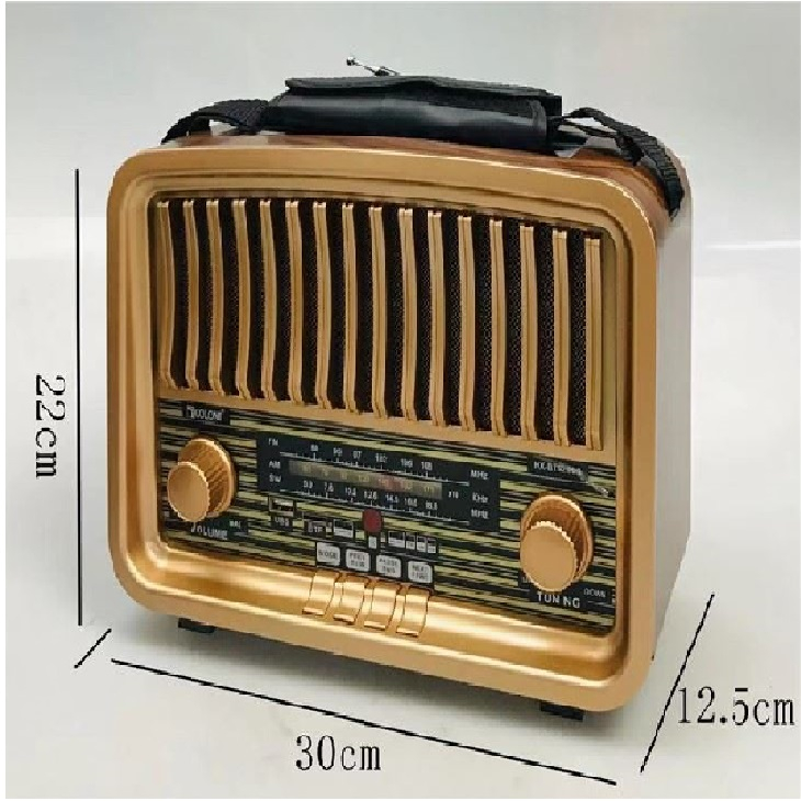 رادیو گولون مدل RX-BT929SQ