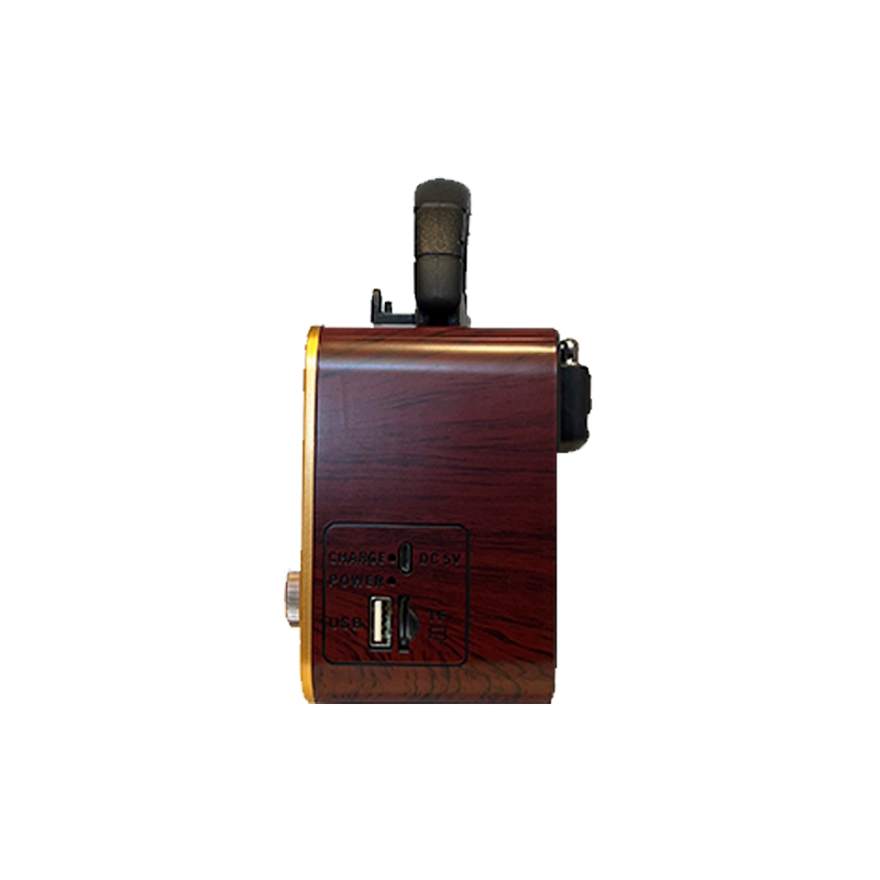 رادیو اسپیکر گولون مدل Golon RX-BT1112