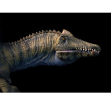 فیگور تی ان جی مدل دایناسور طرح Spinosaurus