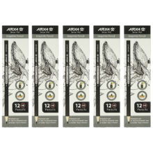 مداد مشکی آریا مدل 3001 بسته 5 عددی