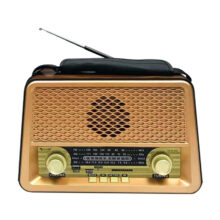 رادیو گولون مدل RX-BT1008SQ