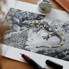 راپید روترینگ مدل isograph