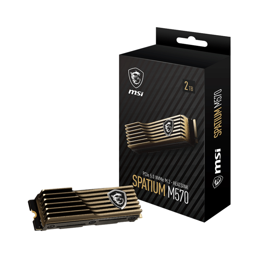 اس اس دی اینترنال ام اس آی مدل SPATIUM M570 PCIe 5.0 NVMe M.2 HS ظرفیت 2 ترابایت