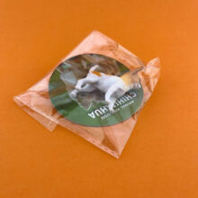 فیگور مدل سگ چیواوا طرح CHIHUAHUA