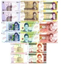 بازی آموزشی طرح پول کد 955 بسته 16 عددی