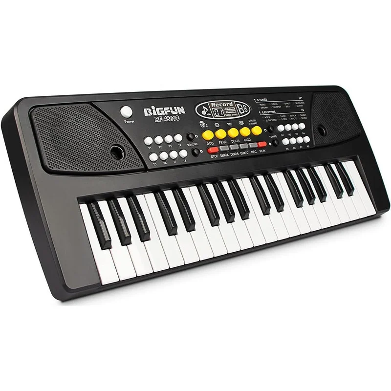 اسباب بازی ارگ بیگفان مدل BF-430A2