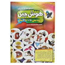 بازی آموزشی هوش چین مدل 330 Hooshchin