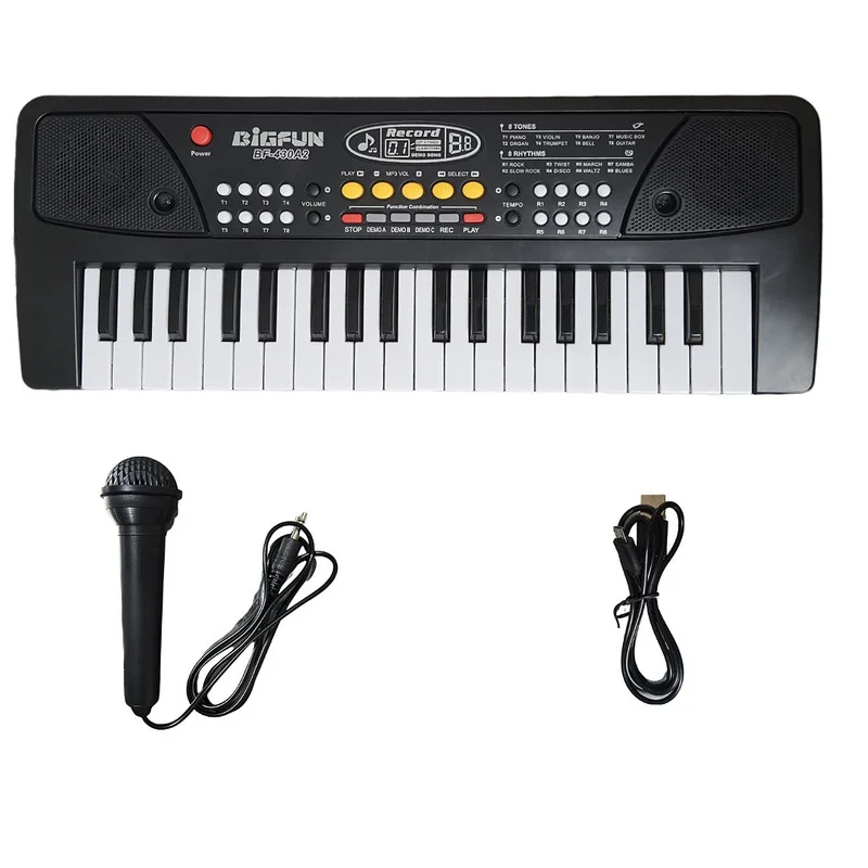 اسباب بازی ارگ بیگفان مدل BF-430A2